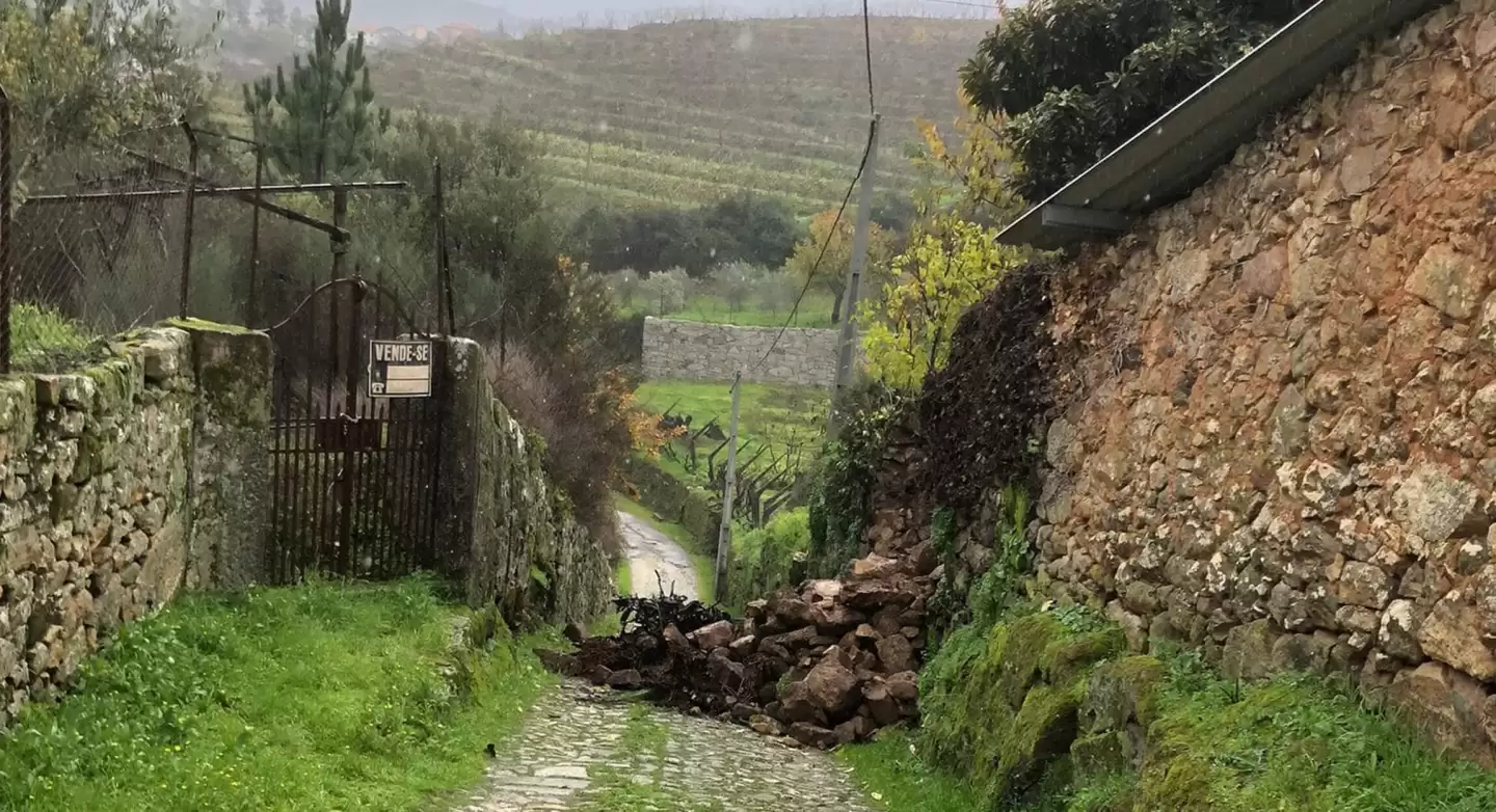 Desobstrução de via